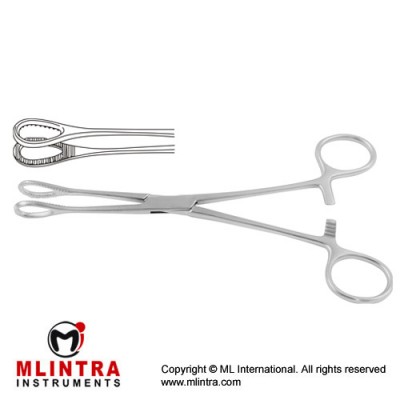 Foerster Sponge Holding Forcep Straight Stainless Steel, 20.5 cm - 8"